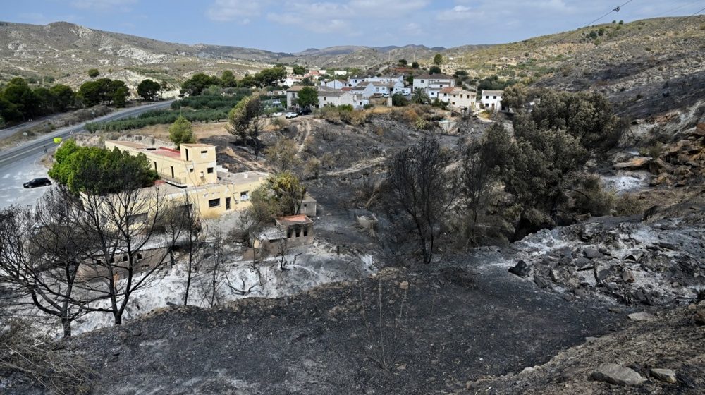 Šumski požari u Španiji: Uništeno više od 13.000 hektara zemljišta 8