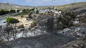 Šumski požari u Španiji: Uništeno više od 13.000 hektara zemljišta