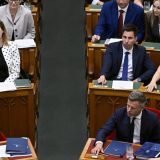 Mađar: Istorijska greška Viktora Orbana je što je podelio zemlju na nacionalnu i nadnacionalnu stranu 7
