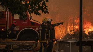 Veliki šumski požar približava se Bordou: Francuska vlasti evakuisale nekoliko predgrađa 10 Veliki šumski požar približava se Bordou: Francuska vlasti evakuisale nekoliko predgrađa 7