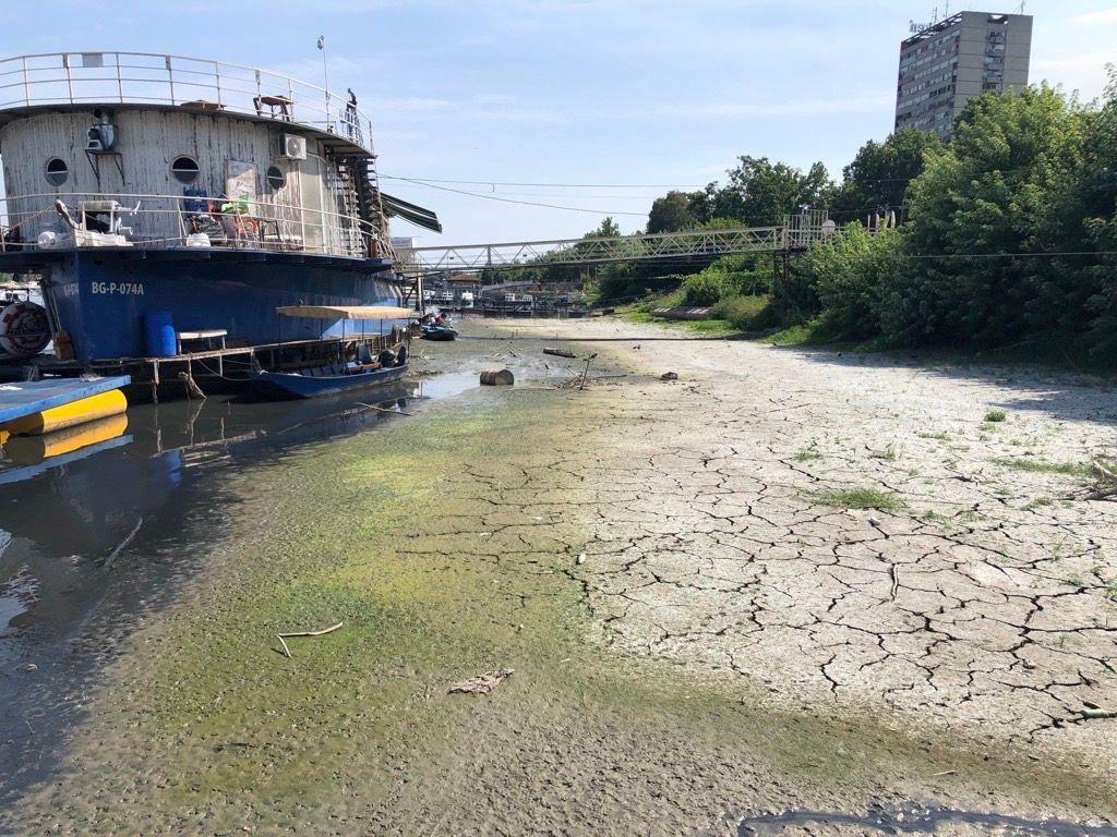 Dunav ponegde kao potok: Dramatične fotografije iz Srbije i regiona 20 dunav, nizak vodostaj dunava, dunav u Beogradu