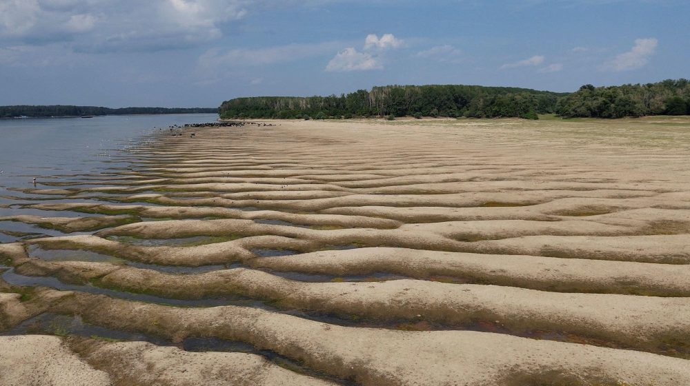 Veliki Dunav trenutno kao potok - u fotografijama 10