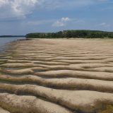 Veliki Dunav trenutno kao potok - u fotografijama 5