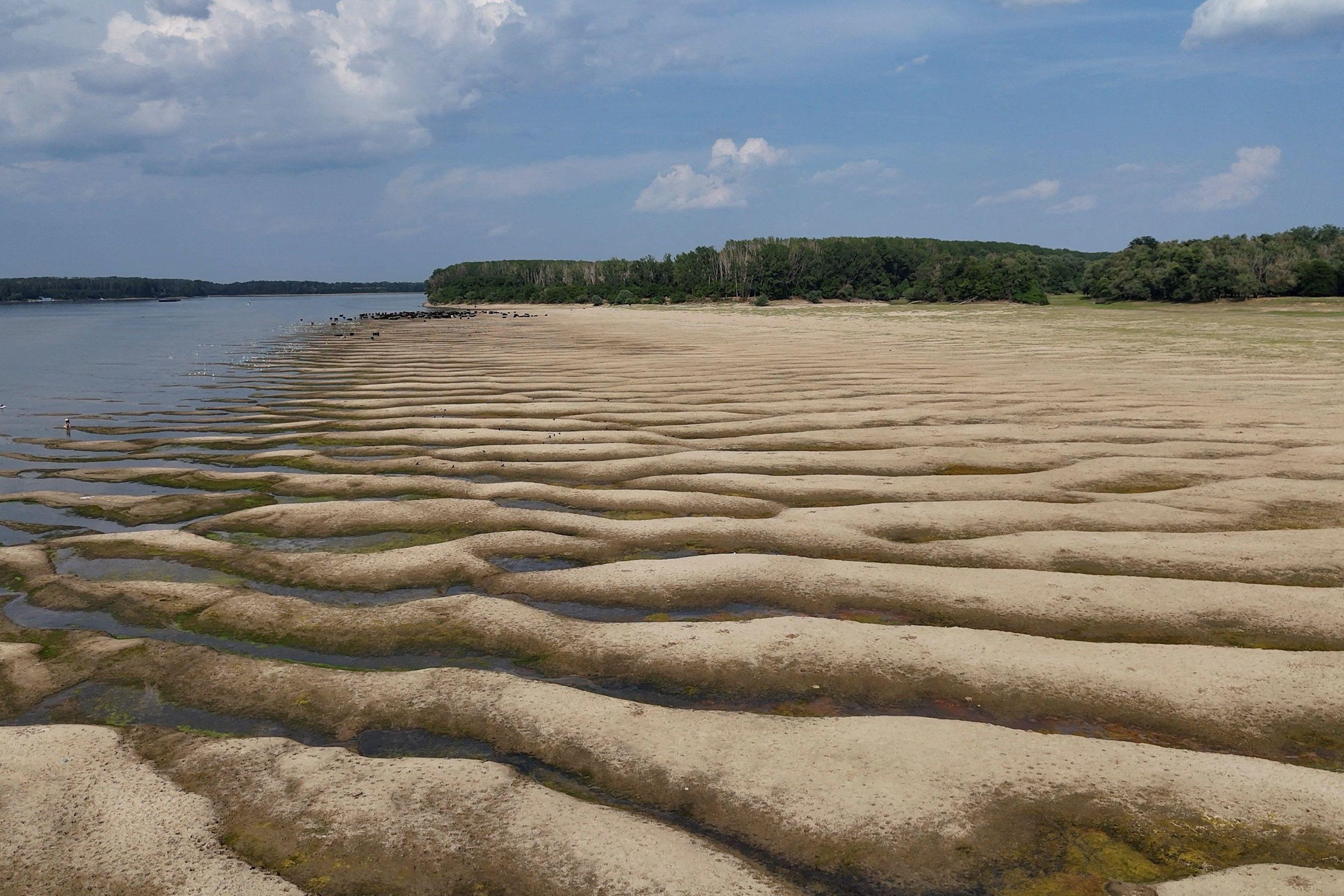 Veliki Dunav trenutno kao potok - u fotografijama 1 nizak vodostaj dunava u rumuniji