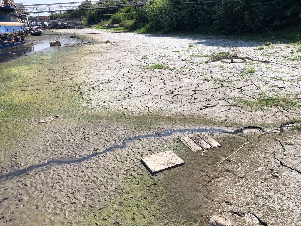 Dunav ponegde kao potok: Fotografije iz Srbije i regiona 21 dunav, nizak vodostaj dunava, dunav u Beogradu
