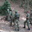 Afere su stvarne, korupcija sistemska, a odgovornost definitivno izostaje 11