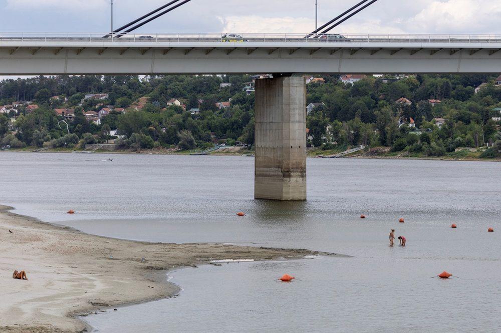 Dunav ponegde kao potok: Fotografije iz Srbije i regiona 6 dunav, nizak vodostaj dunava, dunav kod novog sada