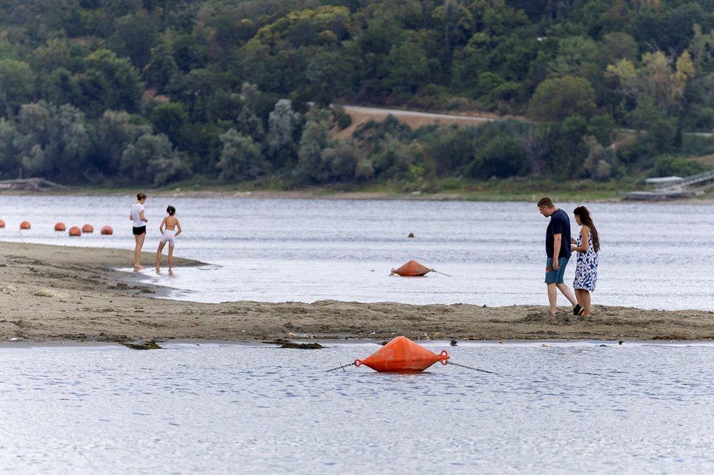 Dunav ponegde kao potok: Dramatične fotografije iz Srbije i regiona 11 dunav, nizak vodostaj dunava, dunav kod novog sada