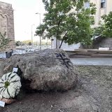 Ispod Brankovog mosta položen "cvet Srebrenice": "Danas i svaki dan, ljudi pamte ljude" 10
