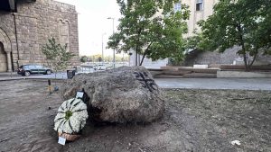 Ispod Brankovog mosta položen "cvet Srebrenice": "Danas i svaki dan, ljudi pamte ljude" 7 Ispod Brankovog mosta položen "cvet Srebrenice": "Danas i svaki dan, ljudi pamte ljude" 5