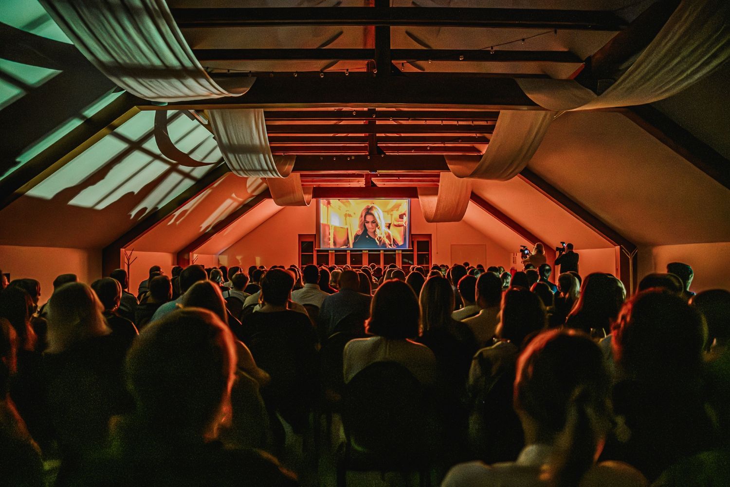Treći Festival evropskog filma Brežice: Jedna od najatraktivnijih novih filmskih manifestacija u regionu 2