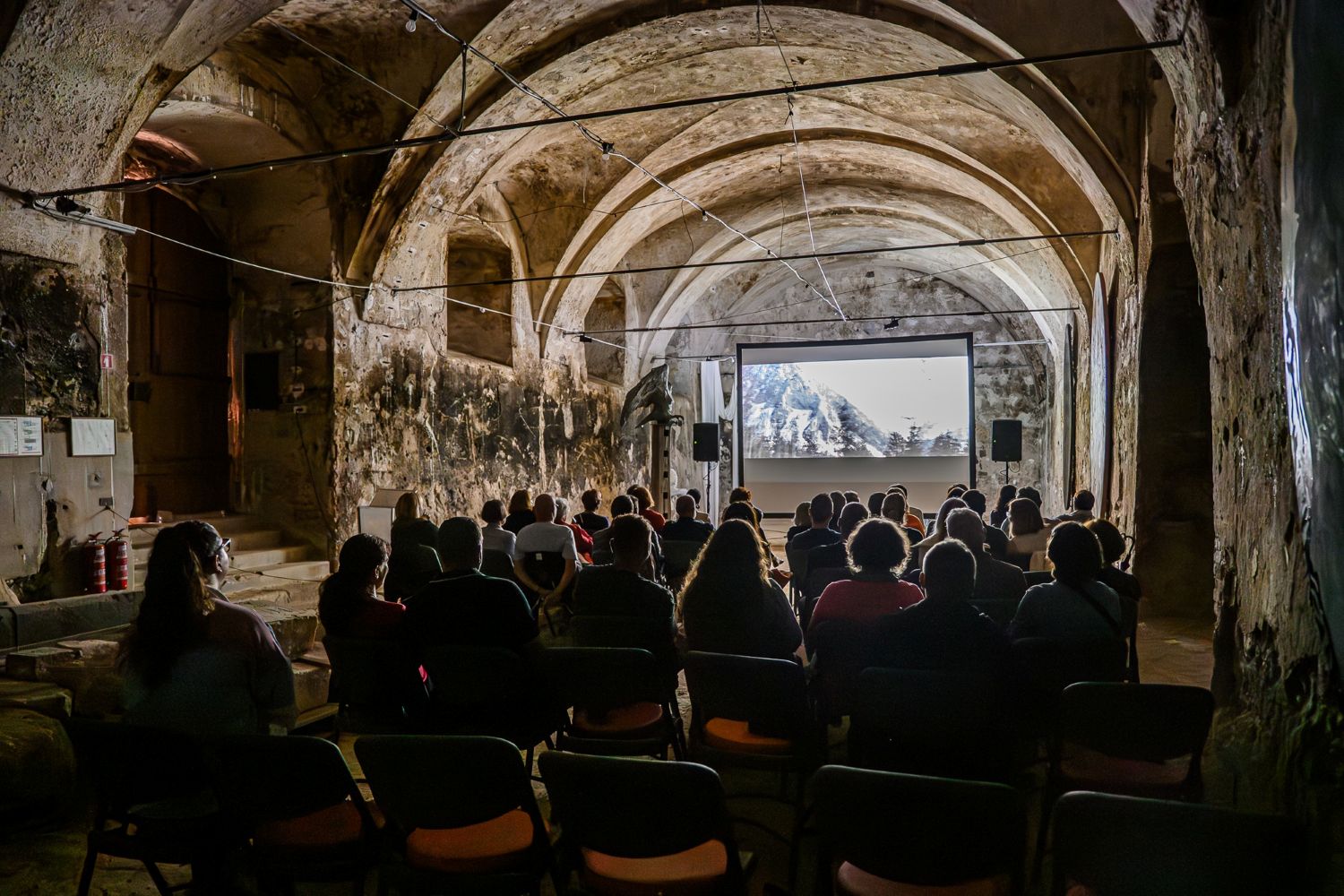Treći Festival evropskog filma Brežice: Jedna od najatraktivnijih novih filmskih manifestacija u regionu 3