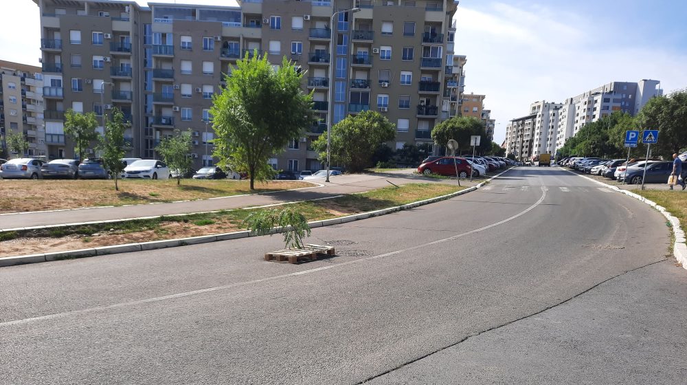 Rupa nasred puta u naselju Stepa Stepanović, obeležili je granom dok čekaju putare 8