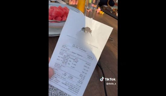 Naručio voćnu salatu na Adi Ciganliji: Zbog onog što su mu naplatili 1.650 dinara ljudi su u neverici 10