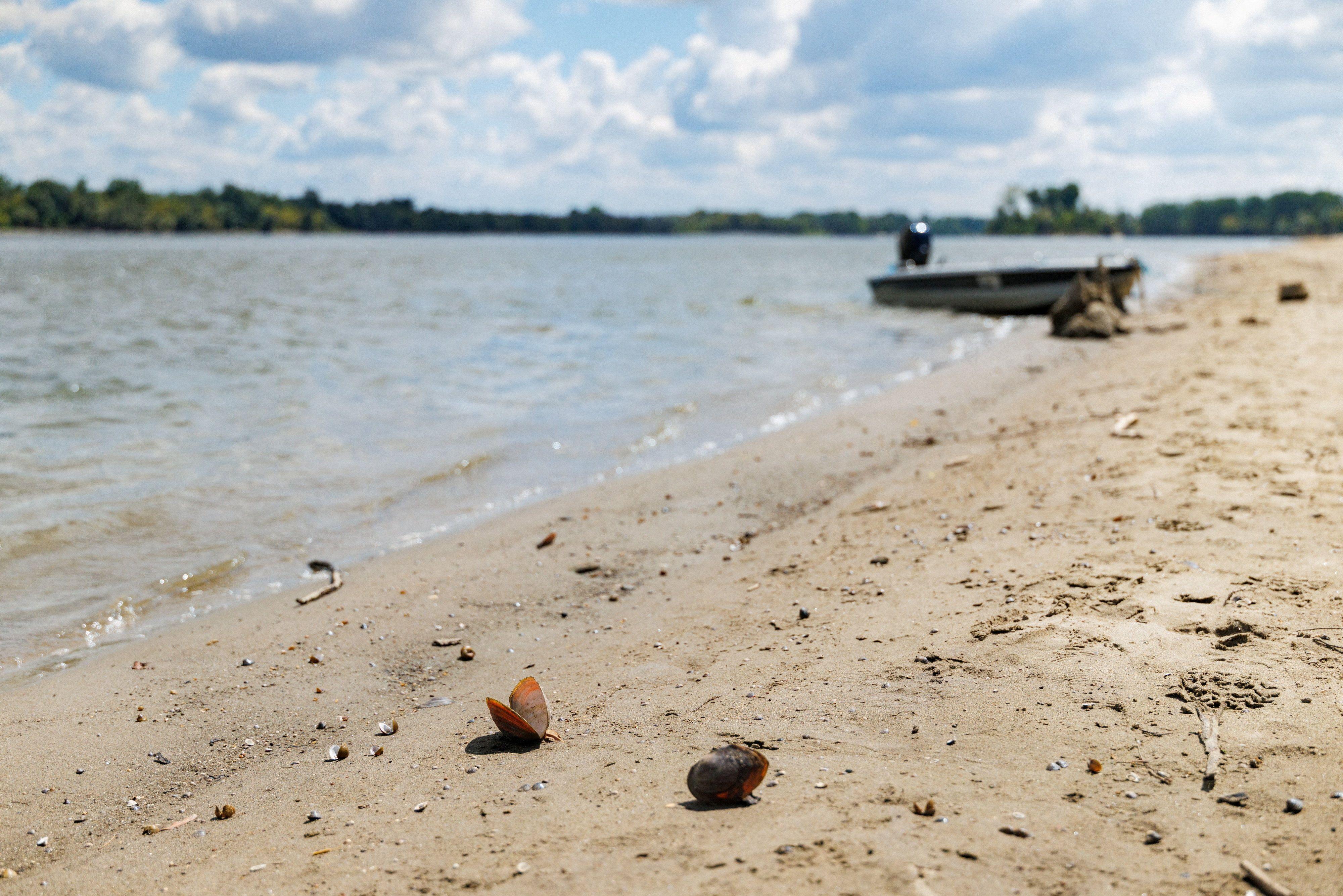 Dunav ponegde kao potok: Fotografije iz Srbije i regiona 32 dunav, nizak vodostaj dunava u hrvatskoj