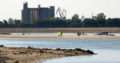 Plaža Oficirac Rekordno nizak vodostaj u Novom Sadu: Peščani sprudovi na sredini Dunava, čamci zaglavljeni u blatu i kanalizacija koja teče u slapovima (FOTO) 5