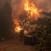 Hiljade ljudi evakuisane iz Francuske i blizu Madrida zbog širenja požara 9