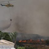 Najmanje 12 mrtvih u šumskim požarima u Španiji, 23 se vodi kao nestalo 6