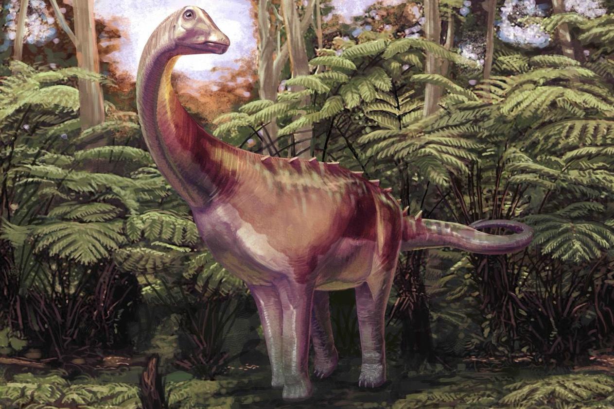 Najranije otkriće dinosaurusa na Antarktiku pronađeno u fioci 3 Titanosaur ilustracija