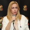bojana maljević
