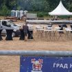 "U ponudi vo na ražnju, ali ne i rešavanje problema": Opozicija o predizbornom skupu SNS u Trupalu kod Niša 10