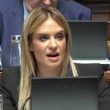 Đurđević Stamenkovski: Status roditelj-negovatelj ekvivalentan radnom odnosu 16