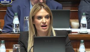 Đurđević Stamenkovski: Status roditelj-negovatelj ekvivalentan radnom odnosu 18