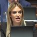 Đurđević Stamenkovski: Status roditelj-negovatelj ekvivalentan radnom odnosu 18