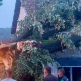 Novo upozorenje RHMZ-a: Nevreme već zahvatilo delove Srbije, drvo palo na kuću u Guči (FOTO; VIDEO) 10