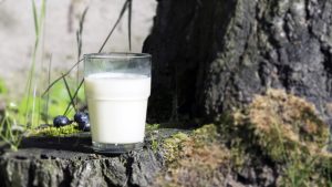 Prirodan trik koji baštovani obožavaju: Razblaženo mleko za zdravije biljke i lepše listove