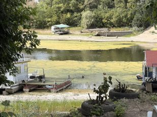 Ribarac, novi sad Rekordno nizak vodostaj u Novom Sadu: Peščani sprudovi na sredini Dunava, čamci zaglavljeni u blatu i kanalizacija koja teče u slapovima (FOTO) 11