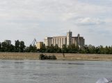 Rečna flotila Rekordno nizak vodostaj u Novom Sadu: Peščani sprudovi na sredini Dunava, čamci zaglavljeni u blatu i kanalizacija koja teče u slapovima (FOTO) 4